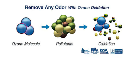 Understanding How Ionizers Work
