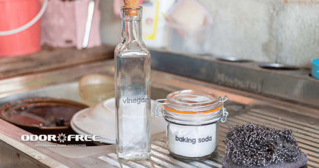 How Ozone Air Treatment Works