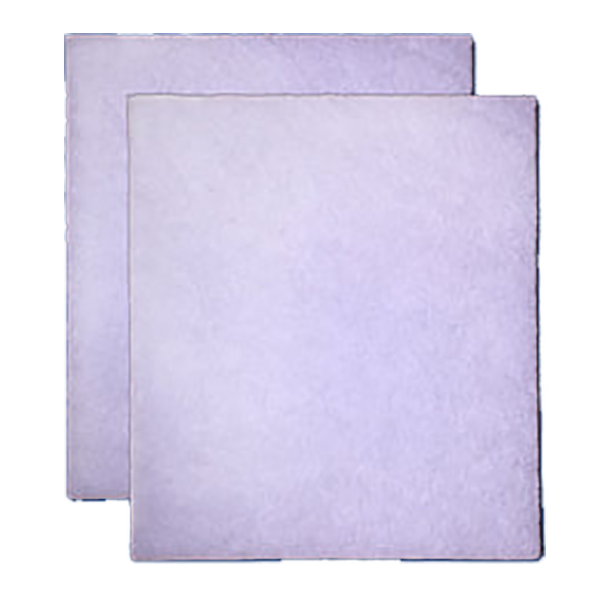 Large Size Two Pack Filters (Estate 4000 Only) – OdorFree